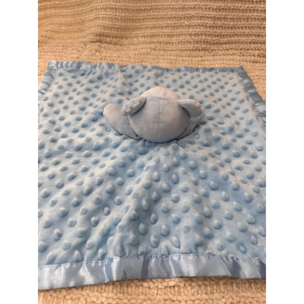 N/A blue bear